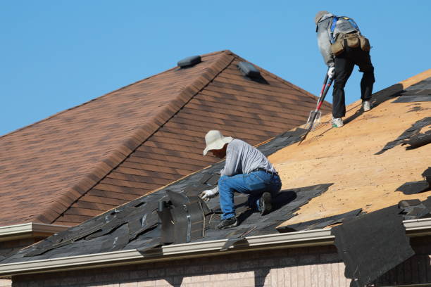Best Roof Replacement  in Southside, AL