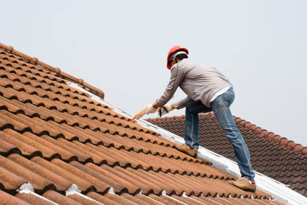 Best Sheet Metal Roofing  in Southside, AL